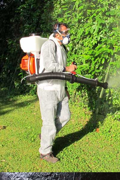 Disinfestazione Roma